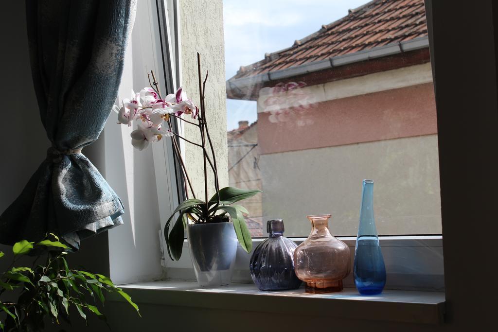 Aqua Apartments Satu Mare Zewnętrze zdjęcie