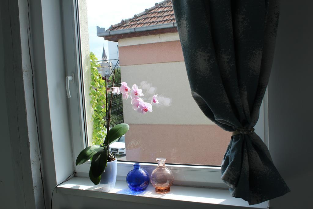 Aqua Apartments Satu Mare Zewnętrze zdjęcie
